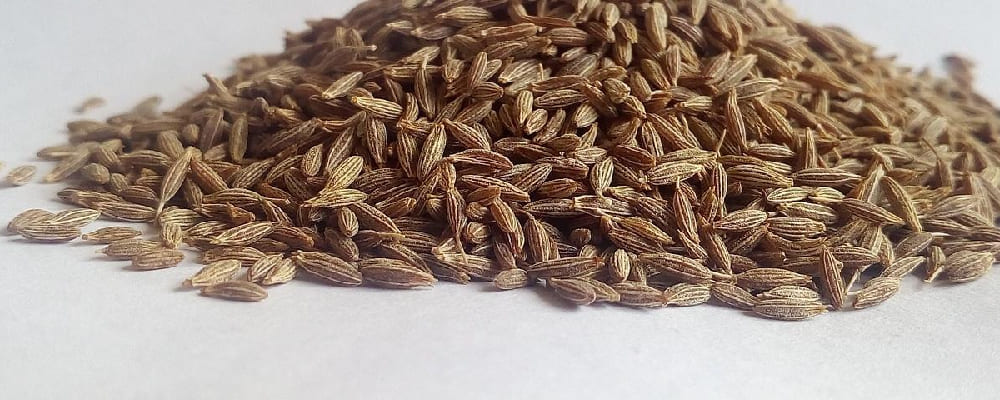 Cumin Seed