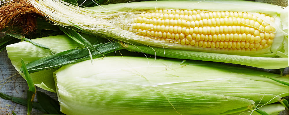 Corn